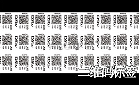 Z6人生就是博A-1喷码平台一体机Technical Parameters